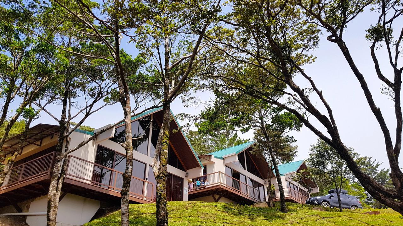 Green Forest Rustic Houses Monteverde Zewnętrze zdjęcie